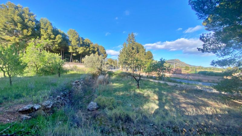 Foto 9d4d2824-d23c-4c26-b2c1-437d17117a4e. Masia amb aparcament a Totana