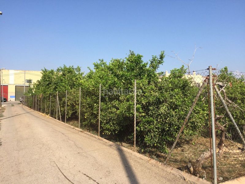 Foto 192115ff-e6ac-4b8c-9ee4-51375567183c. Terreny residencial a Aljucer Murcia