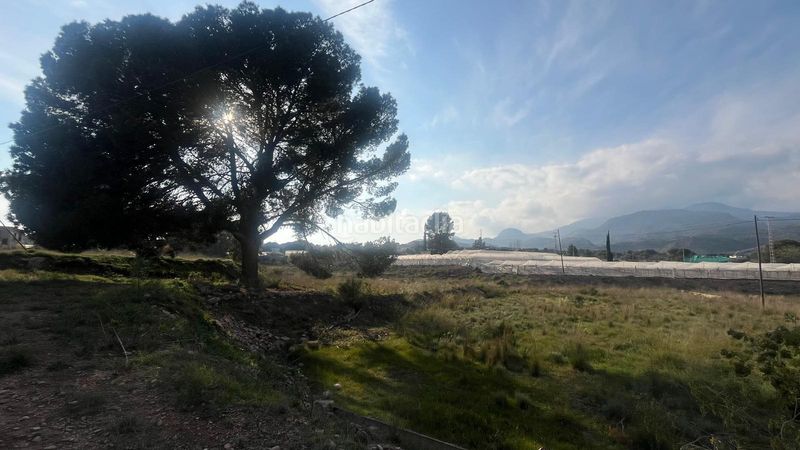 Foto 4bd50c15-6ec9-47b7-8767-bd5122999af4. Finca rústica a Totana