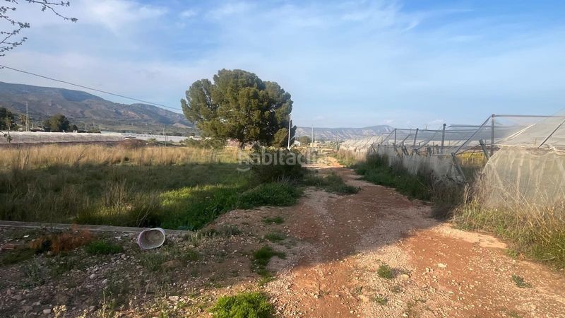 Foto bdc14360-5683-4a07-a2fe-b535ce13ede9. Finca rústica a Totana