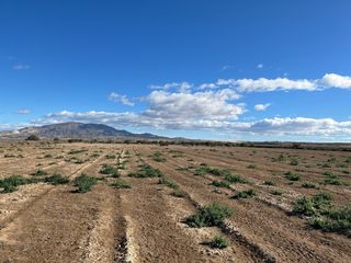 Finca rústica a Condado de Alhama