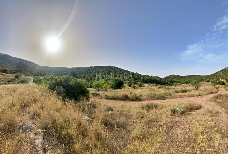 Foto 053eb688-2f3b-4926-9d67-42c107960741. Masia a Totana