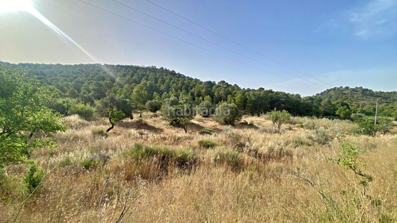 Foto eb4a1f10-53f7-4e67-80b0-fd4c73bc00e6. Masia a Totana