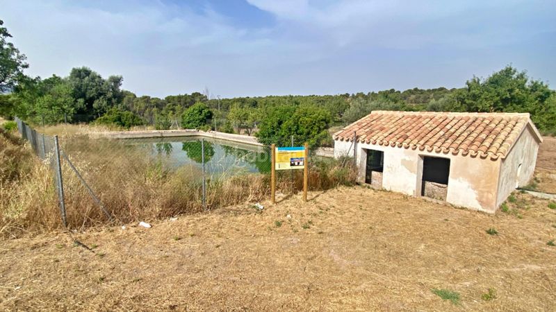 Foto eed563fe-6845-44d4-accd-deeba07b1e5e. Masia a Totana