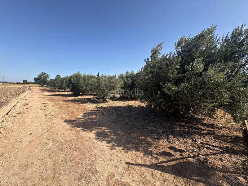 Foto ae4906c0-db8f-404c-a769-9406d2e7ffeb. Finca rústica a Totana