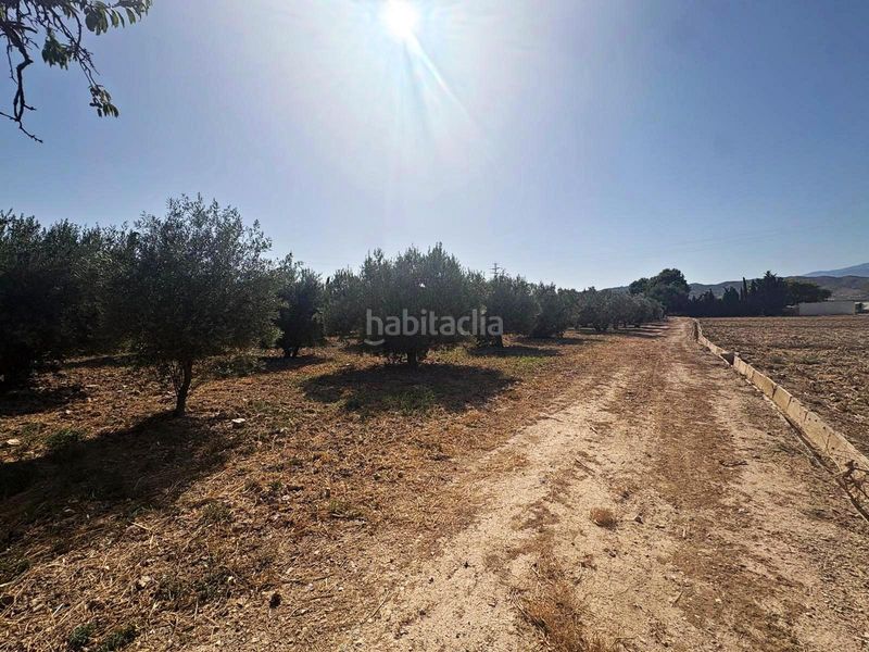 Foto d39b7da8-da64-427a-8eda-a377d567d3bf. Finca rústica a Totana