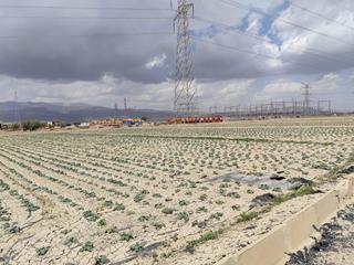 Propriété à Totana. Oportunidad!!! terreno de 13.629 m2 por regadío 54.500
