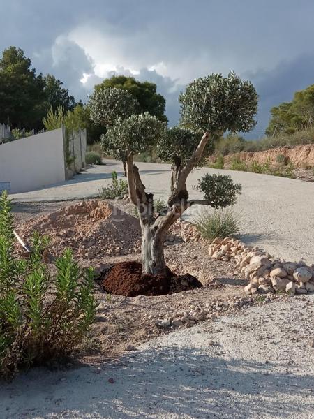 Foto f609928a-8b08-45d8-84ed-59c3b6031e75. Chalet con riscaldamento in Totana