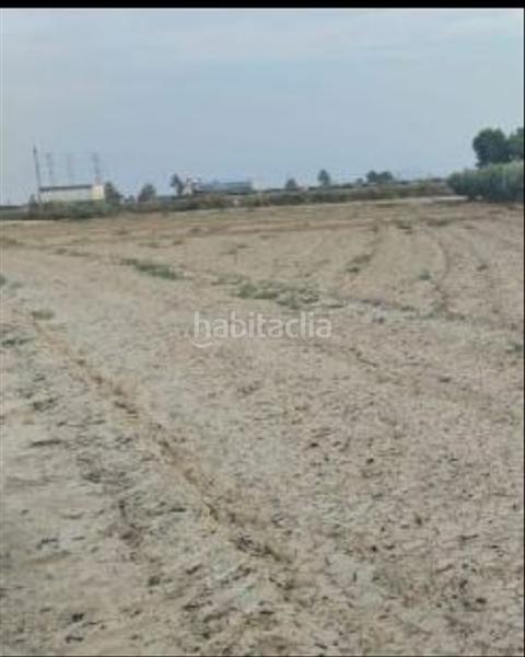 Foto 91fbc17e-e8f7-4194-8358-dfa5042097cd. Finca rústica terreno agrario la ñorica, en Totana