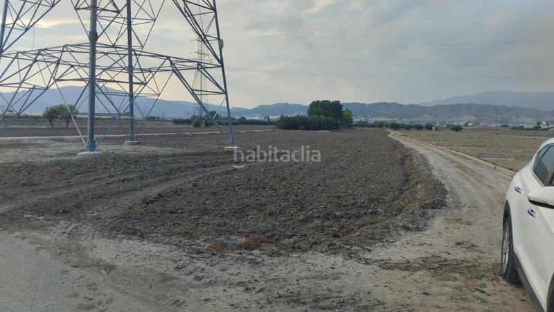 Foto 49fc684a-a9ca-48e6-9536-2cb7adcc2cdb. Fondo rustico in Totana