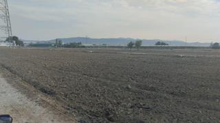Finca rústica a Totana. Terreno rural  lébor bajo, totana