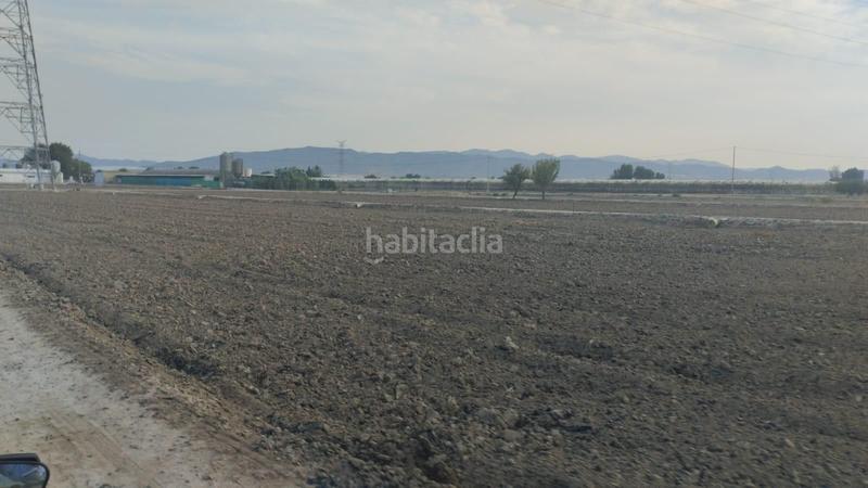 Foto 7d897740-e7ad-44e5-b7c5-a486137dde7b. Fondo rustico in Totana