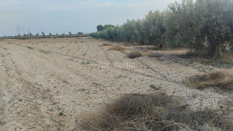 Foto 6ca8df45-5c74-4b7d-a915-7d2bcb665735. Landgut in Totana