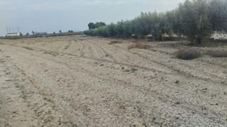 Propriété à Totana. Terreno de regadío  la ñorica, totana