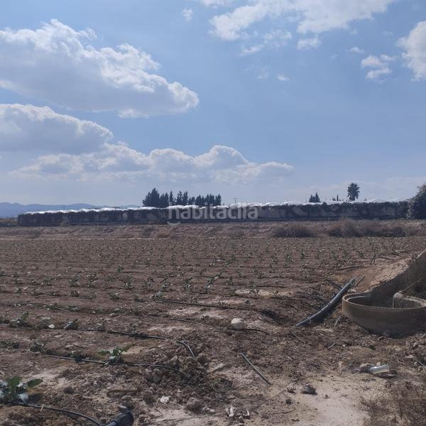 Foto 8b189e84-5acc-44aa-80f7-6196187bf886. Fondo rustico in Totana