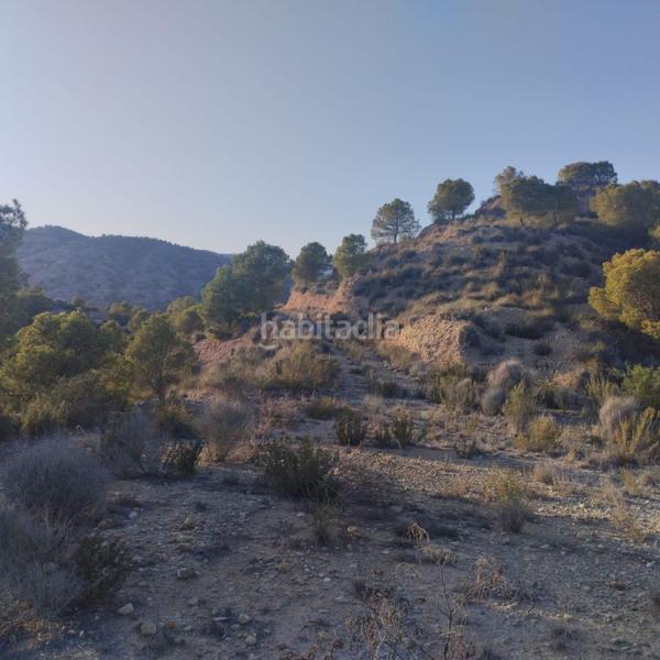 Foto 18558082-56fd-41e3-961c-bd466b40080d. Wohngrundstück in Totana