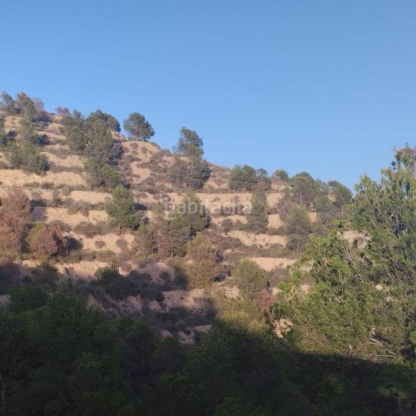 Foto 4e258b8a-292b-4575-a399-6c302cf9ba1e. Wohngrundstück in Totana