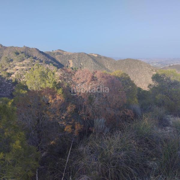 Foto 7b11f791-f9d2-407c-8896-785e86793f8a. Wohngrundstück in Totana