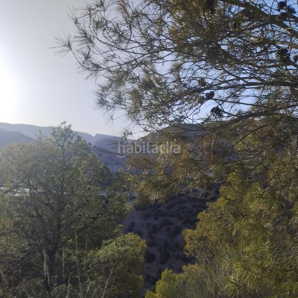 Foto 87682864-0a93-4e89-9500-79a6de9f5c0e. Wohngrundstück in Totana