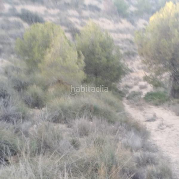 Foto a416d510-c872-490b-897a-74e2151e5215. Wohngrundstück in Totana