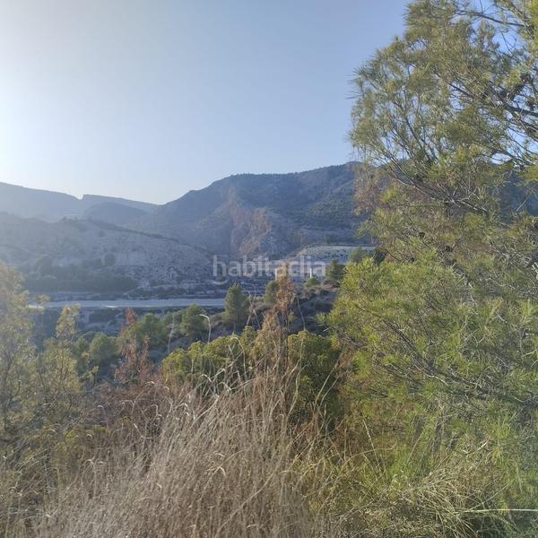 Foto c0dc801d-909d-4a00-b1be-1153e57c1c01. Wohngrundstück in Totana