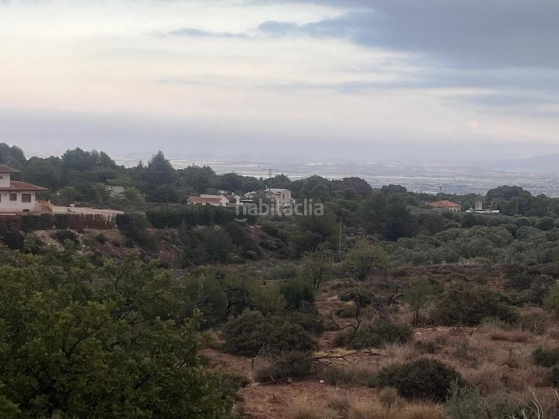 Foto 28939385-d8f1-46b4-bd56-e0c2ab689186. Wohngrundstück in calle huerto el parrillas 80 in Totana