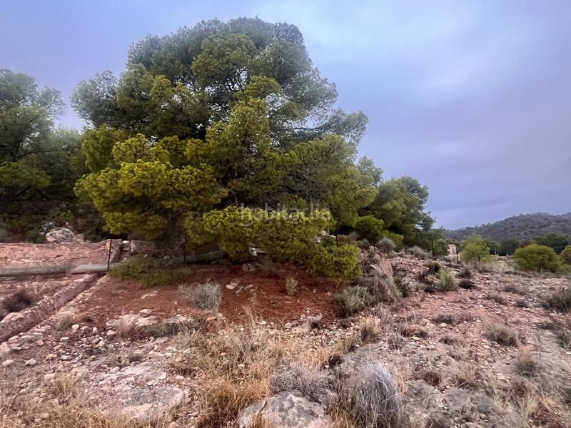 Foto 3049f800-6655-464c-b09b-c049e2aded93. Wohngrundstück in calle huerto el parrillas 80 in Totana