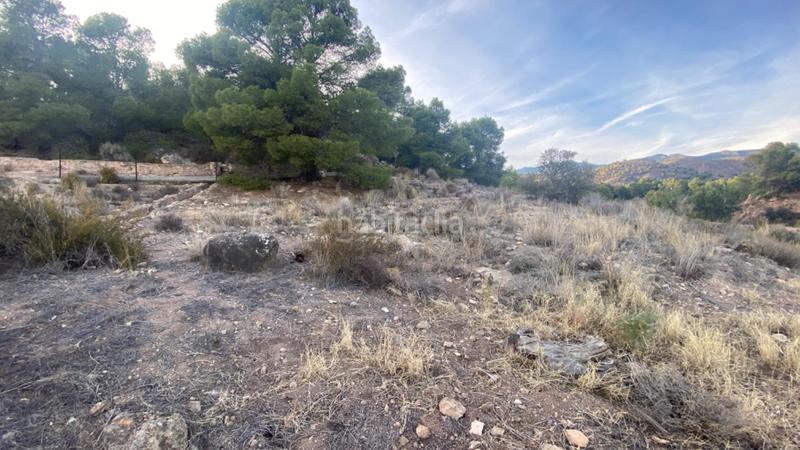 Foto 3554654d-15bf-45fe-a993-5b102161ce1d. Wohngrundstück in calle huerto el parrillas 80 in Totana