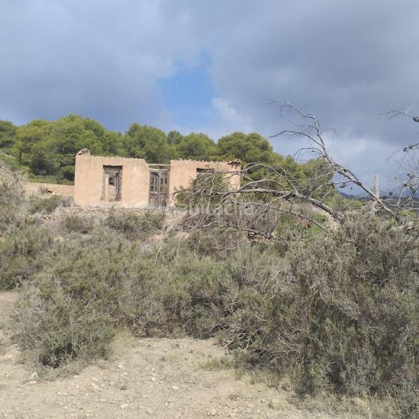 Foto 403ffbe8-db80-416d-bf46-b3794fbcf18c. Wohngrundstück in calle huerto el parrillas 80 in Totana