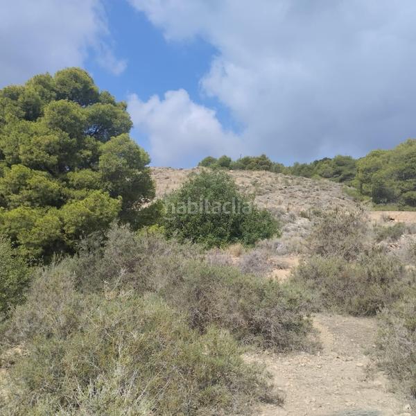 Foto 54640190-60ae-45ad-82be-70efd408372b. Wohngrundstück in calle huerto el parrillas 80 in Totana