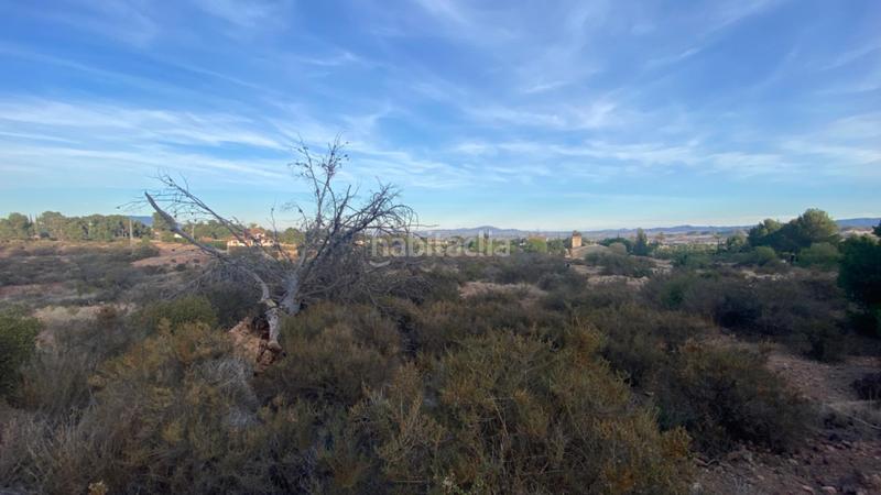 Foto 5eebfa7c-89bf-4967-9b19-c44bef8021e5. Wohngrundstück in calle huerto el parrillas 80 in Totana
