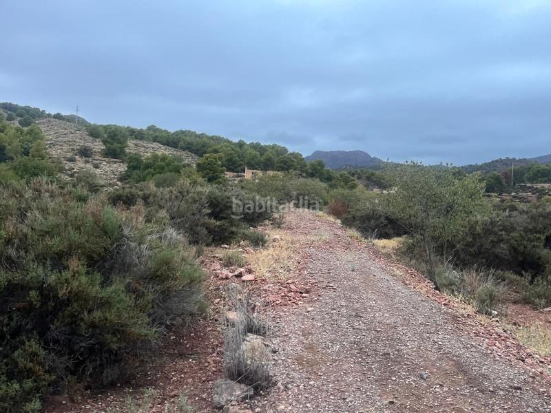 Foto 7c2493bd-1571-49b2-b1b1-c4ba9443c59b. Wohngrundstück in calle huerto el parrillas 80 in Totana