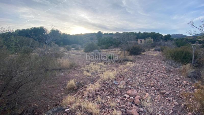 Foto 97816d22-f733-4660-933b-ee0bcbf60e0f. Wohngrundstück in calle huerto el parrillas 80 in Totana