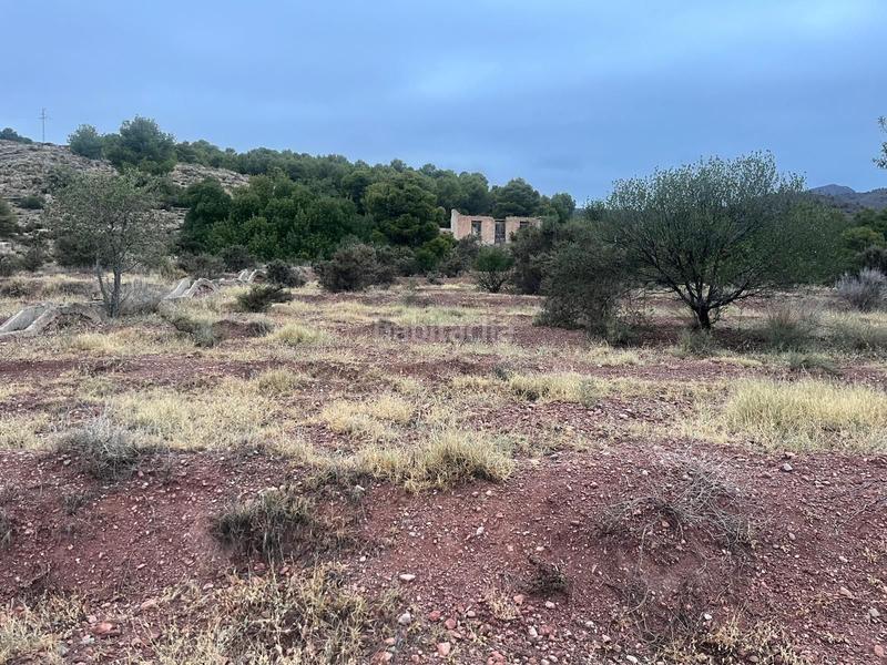 Foto c2d997dd-cab0-4fe2-afa2-0f46ee269f37. Wohngrundstück in calle huerto el parrillas 80 in Totana