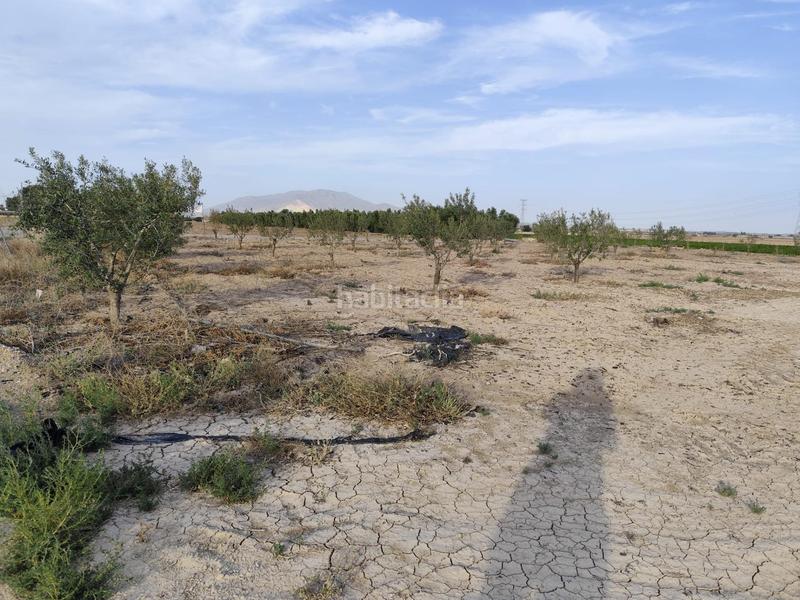 Foto 17a99c11-a22e-4b6e-bf20-89aa9871b9e4. Finca rústica parcela rústica en Totana