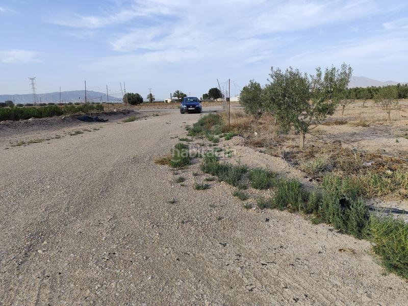 Foto 37efc2a4-4f02-4322-b2b3-666e8ea5dd60. Finca rústica parcela rústica en Totana