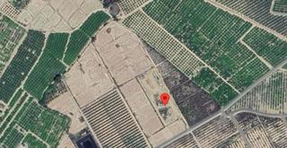 Finca rústica a Sangonera la Seca. Finca agrícola  librilla