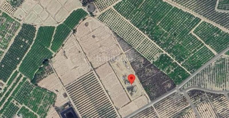 Foto 0547dfe6-f8d4-4d29-afc4-e9b7e33bc1af. Fondo rustico in Sangonera la Seca Murcia