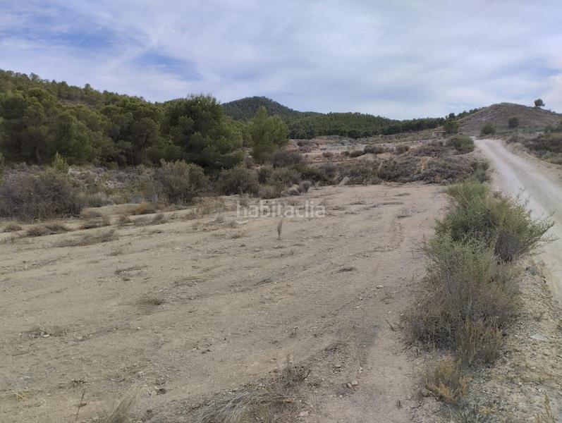 Foto 5f255314-f15f-498e-b098-84946199c1d3. Landgut in Totana