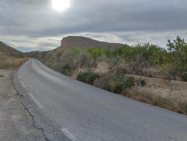 Foto 66dd75ad-2a39-48c9-a850-9d053dc91dea. Landgut in Totana