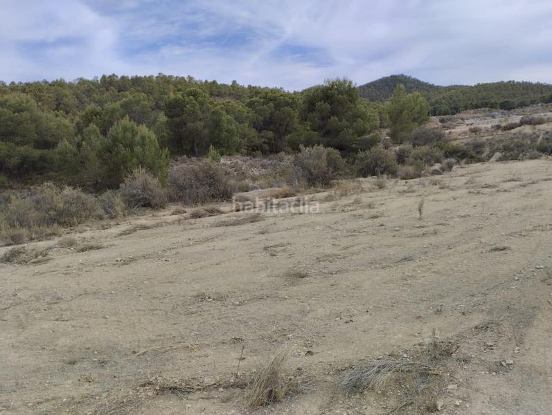 Foto a396dbda-1a4e-4862-a046-20ced8d70095. Landgut in Totana