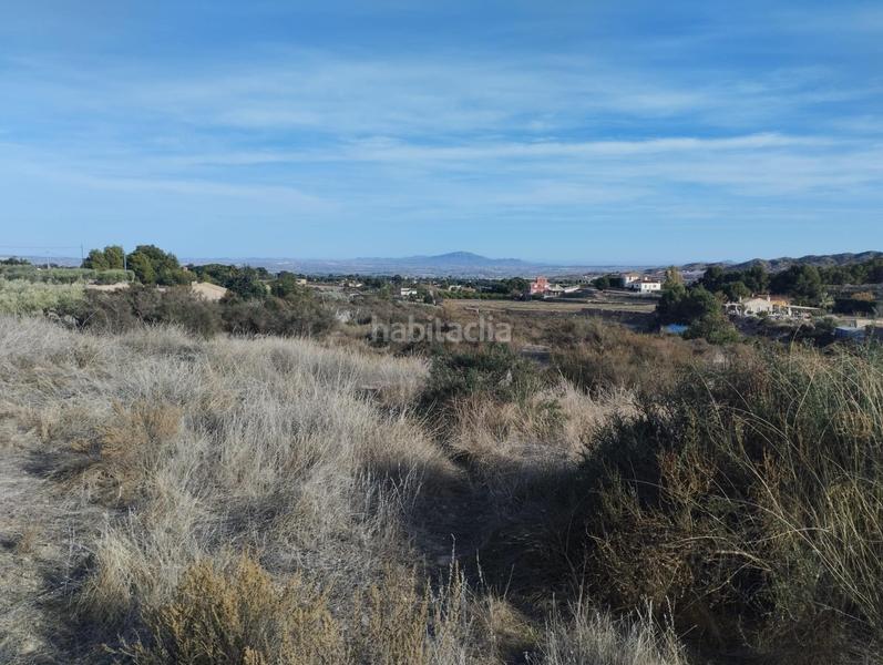 Foto 2b1bdbb1-219a-4fb7-8fce-c37aea8f6343. Landgut in Totana