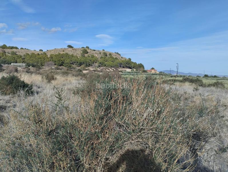 Foto 2b86ac6d-d055-42b8-9594-4d68c788ffd3. Landgut in Totana