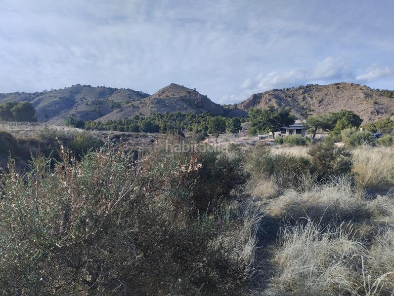 Foto 38a04982-606f-471b-a417-5bdcc0d20d53. Landgut in Totana