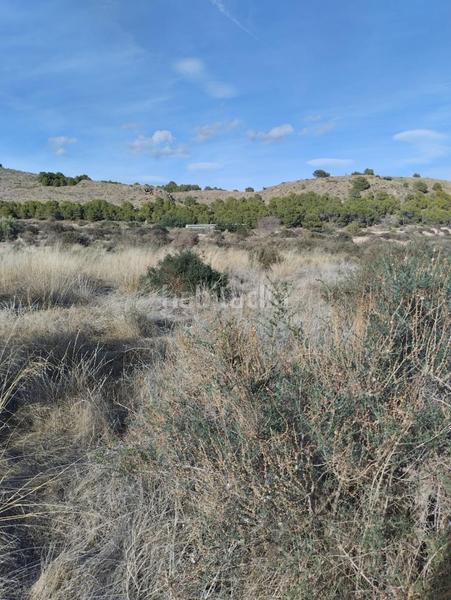 Foto 4fb8153f-1f4e-42be-bb6d-fae75f71d5c2. Landgut in Totana