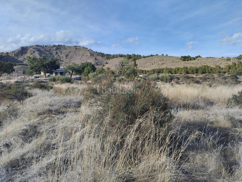 Foto 8323271f-f888-4180-8ec3-960ba7d862bd. Landgut in Totana