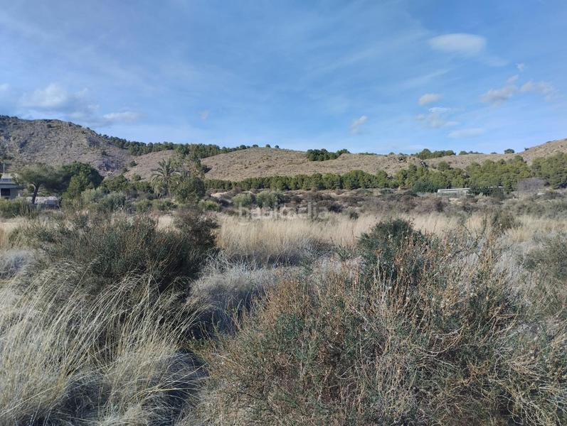 Foto d0365d7c-f9f2-444c-903c-a00149df209e. Landgut in Totana