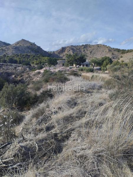 Foto e66360aa-2199-44a5-9acb-4924aa879d12. Landgut in Totana