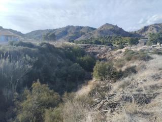 Fondo rustico in Totana. Terreno rural  yechar, totana
