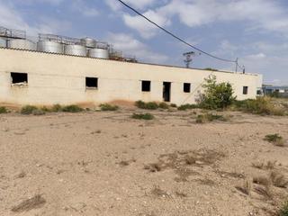 Finca rústica a Carretera totana. Parcela en venta en la costera